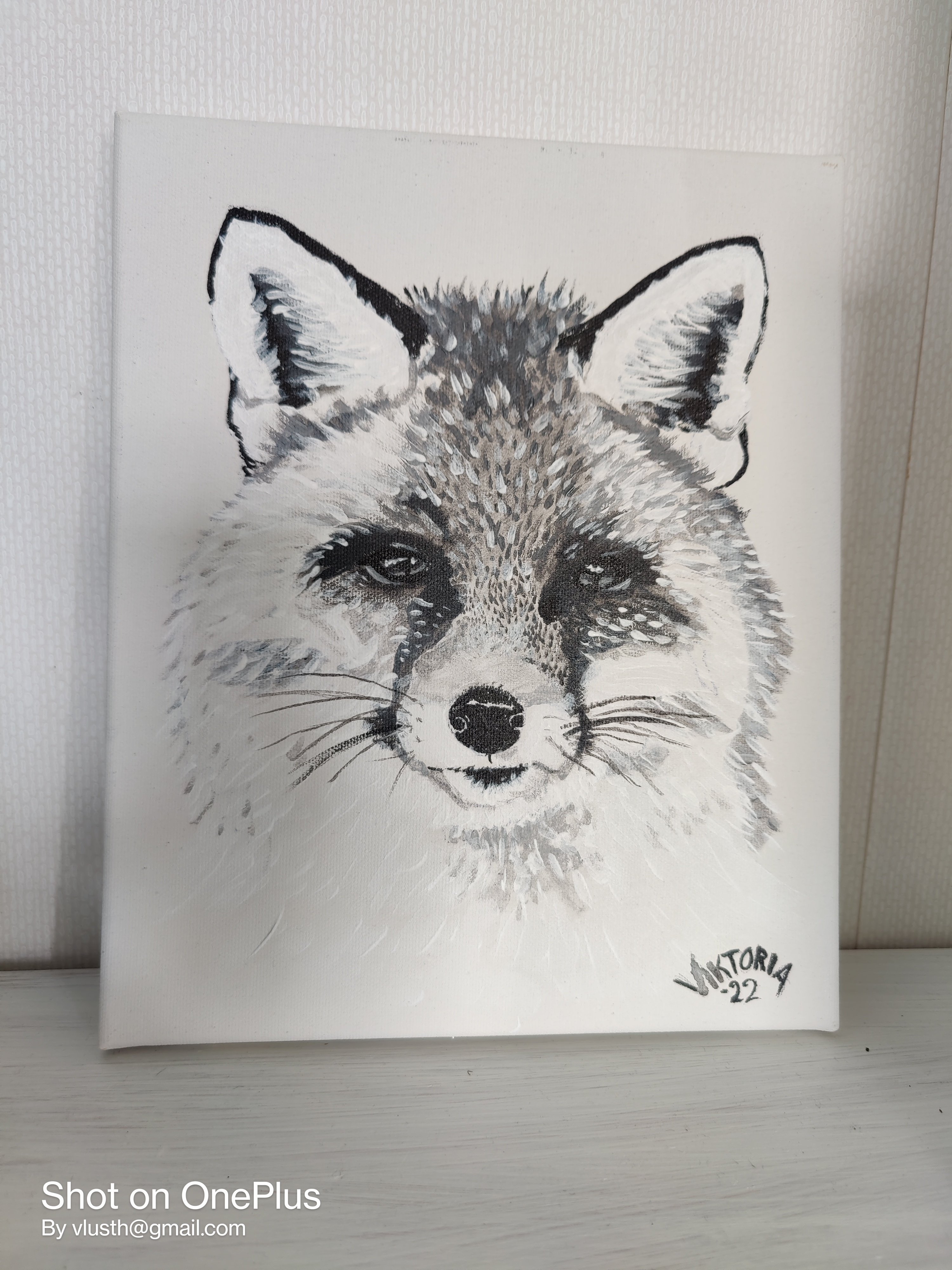 Räv